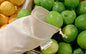 Muslin Produce Bags