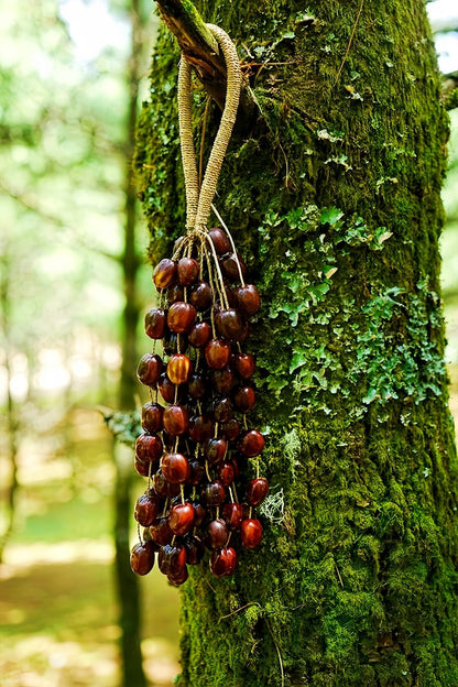 Seed Shaker | Handmade Pala Cardamom Seed Shell Hand Bell – Natural Rainforest Sound Decor