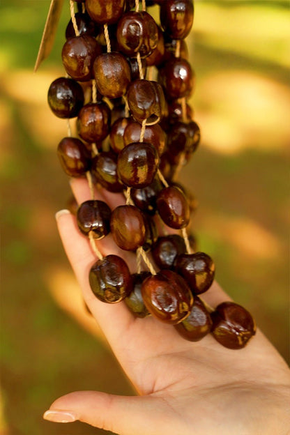 Seed Shaker | Handmade Pala Cardamom Seed Shell Hand Bell – Natural Rainforest Sound Decor
